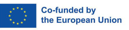 Co-funded by the European Union